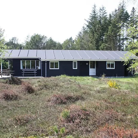 Holiday - Lodskovvad - 021955 Ålbæk